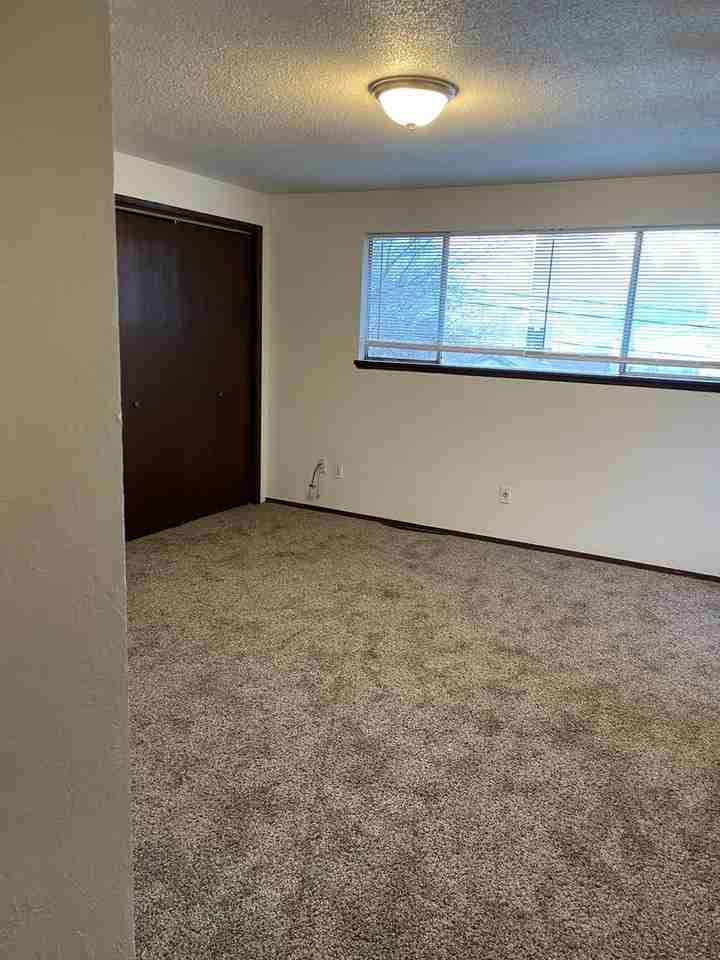 1314 S 2nd St - Photo 4 of 13