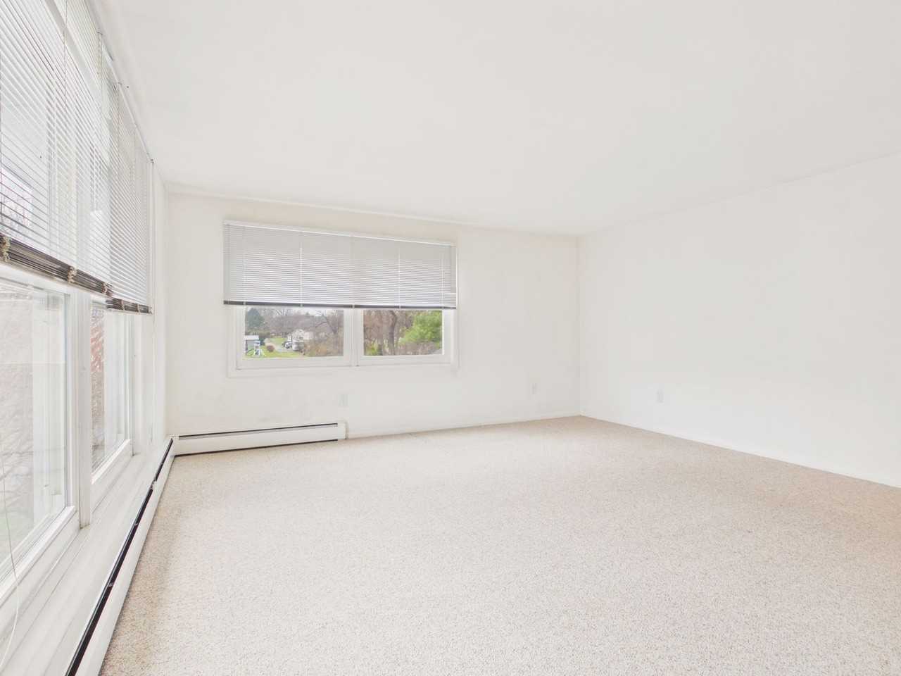 904 Mount Pleasant Rd - Photo 7 of 16