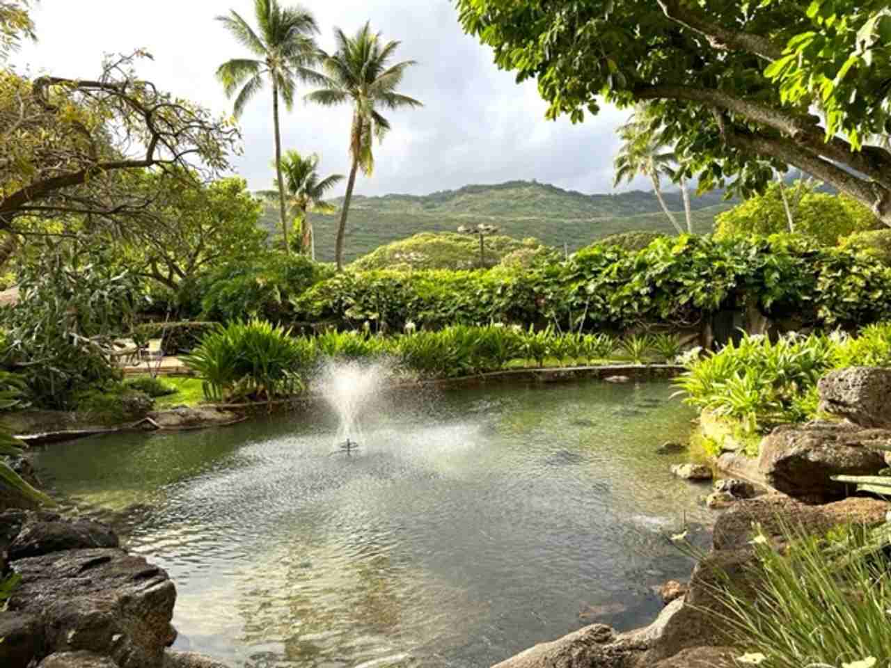 531 Hahaione St #9A - Photo 3 of 13