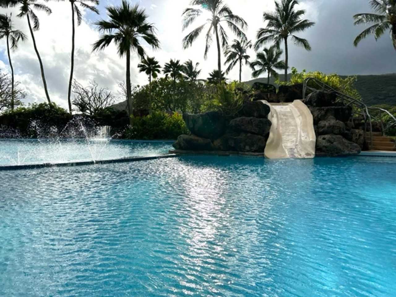 531 Hahaione St #9A - Photo 4 of 13