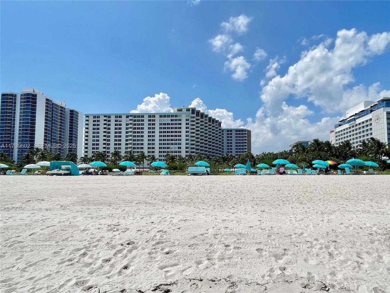 2899 Collins Avenue #1037 - Photo 4 of 33