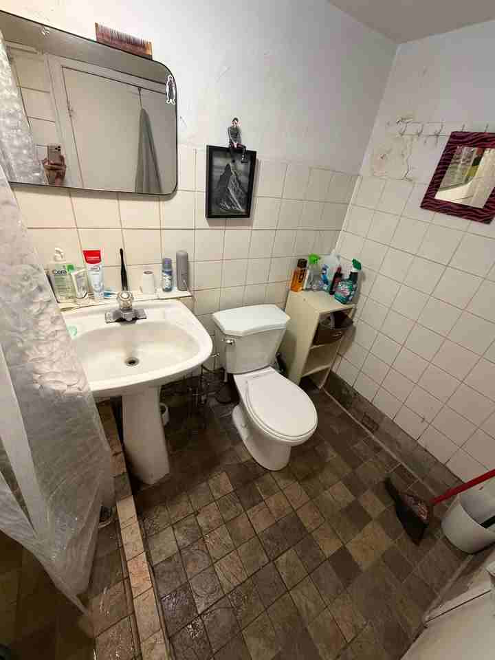 Shaw Street - Photo 3 of 16