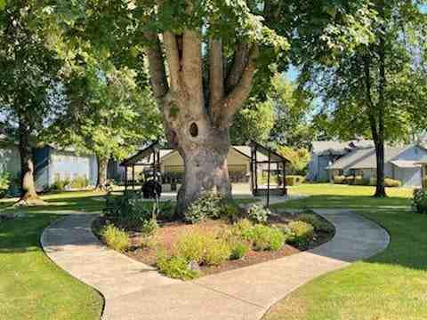 Norsemen Village - Photo 5 of 10