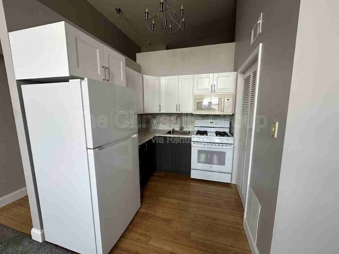 217 W Main St #3F - Photo 5 of 8