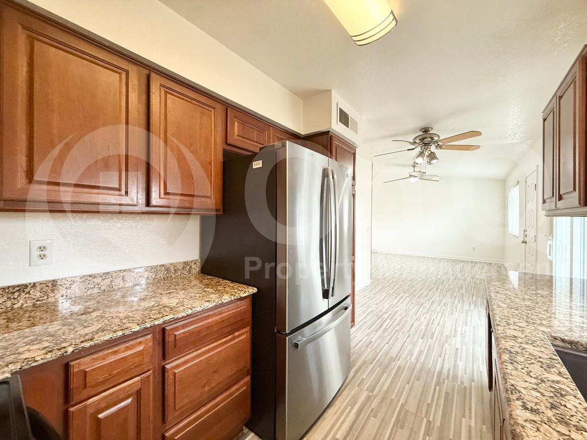 919 W Laguna Dr - Photo 3 of 17