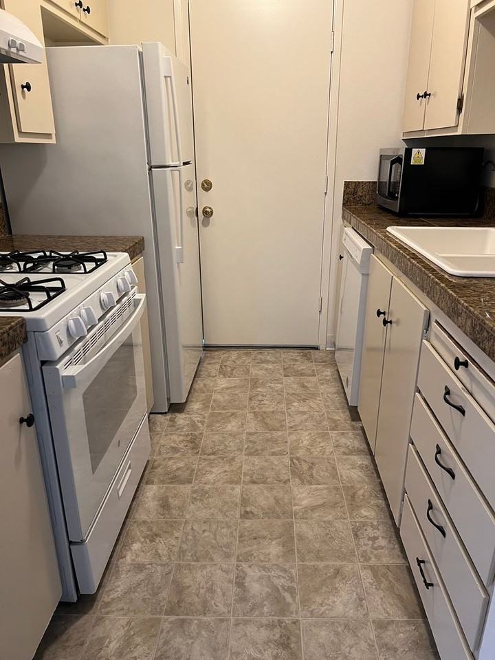 303 Harding Blvd #4 - Photo 5 of 13