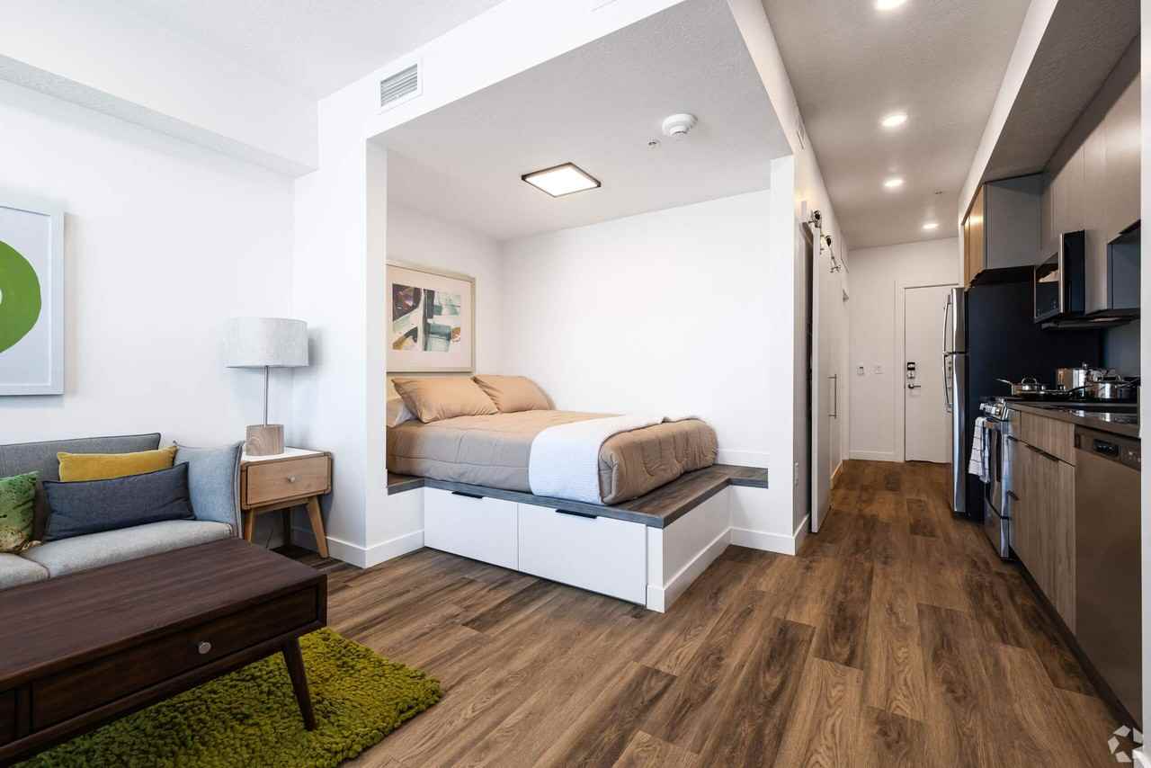 Lotus Gallacher - Photo 3 of 29