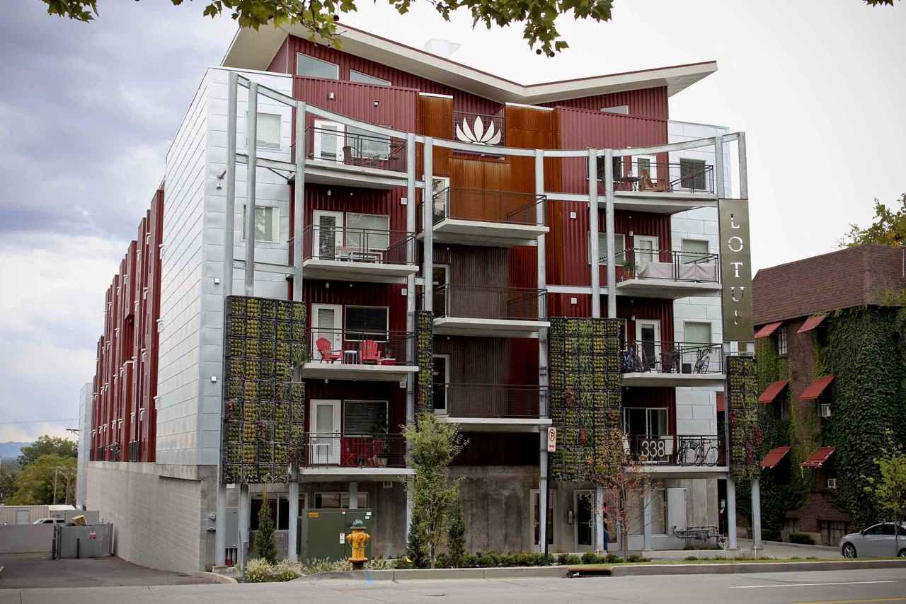 The Lotus - Photo 2 of 31