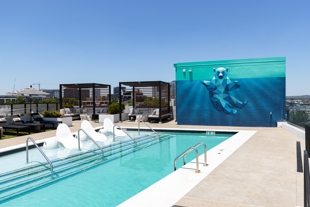 Novel Edgehill - Photo 2 of 50