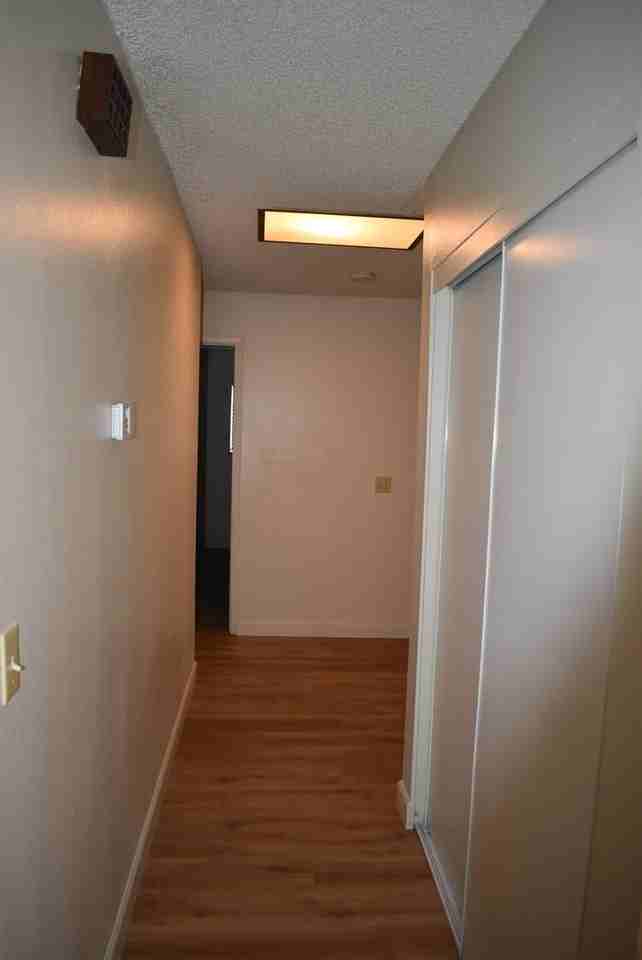 494 Edwin Dr - Photo 5 of 16