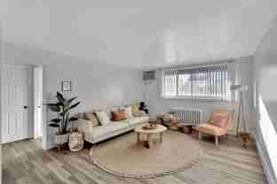 Kinsey at 249 - Photo 1 of 1