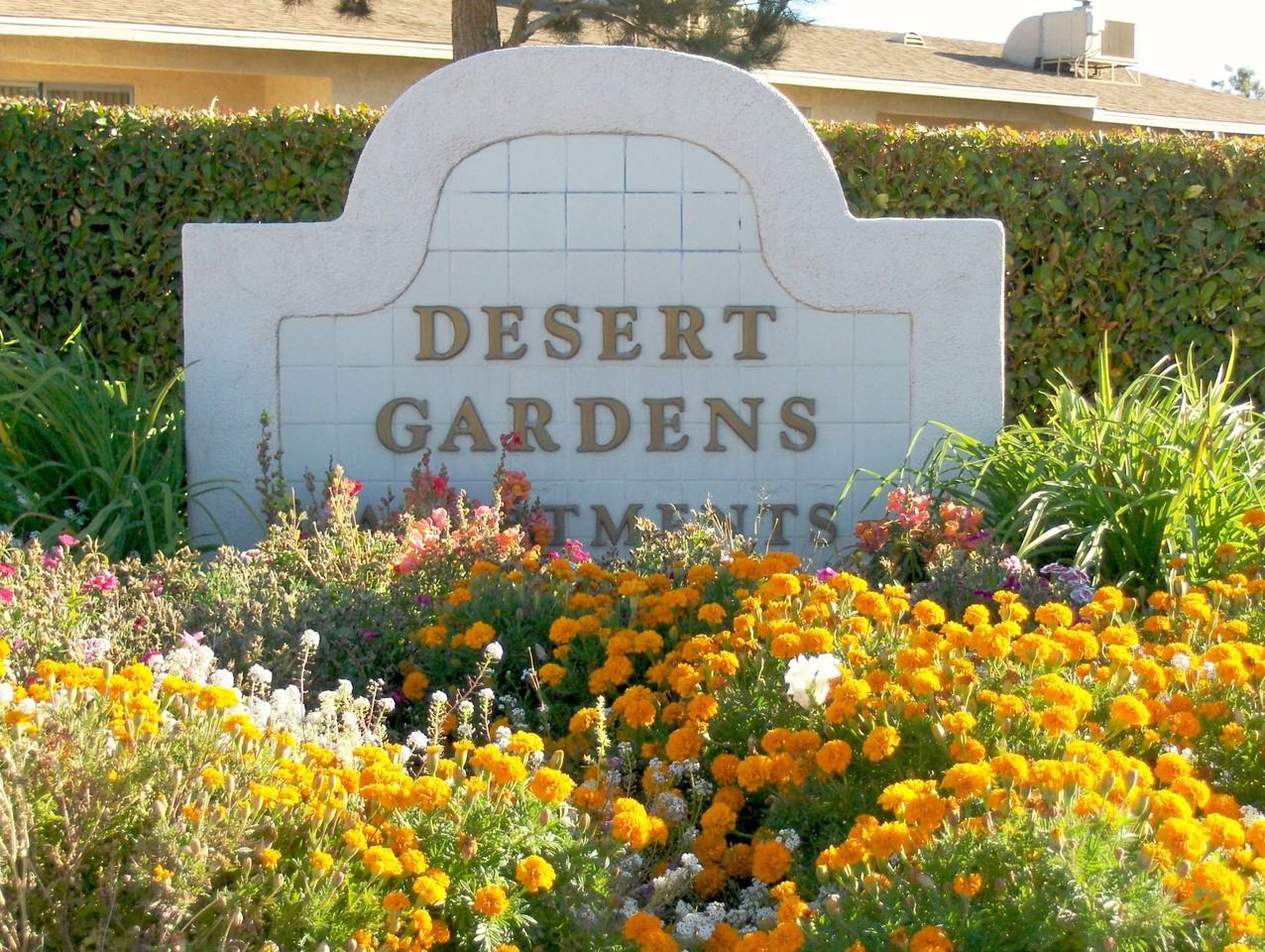 Desert Gardens - Photo 4 of 13