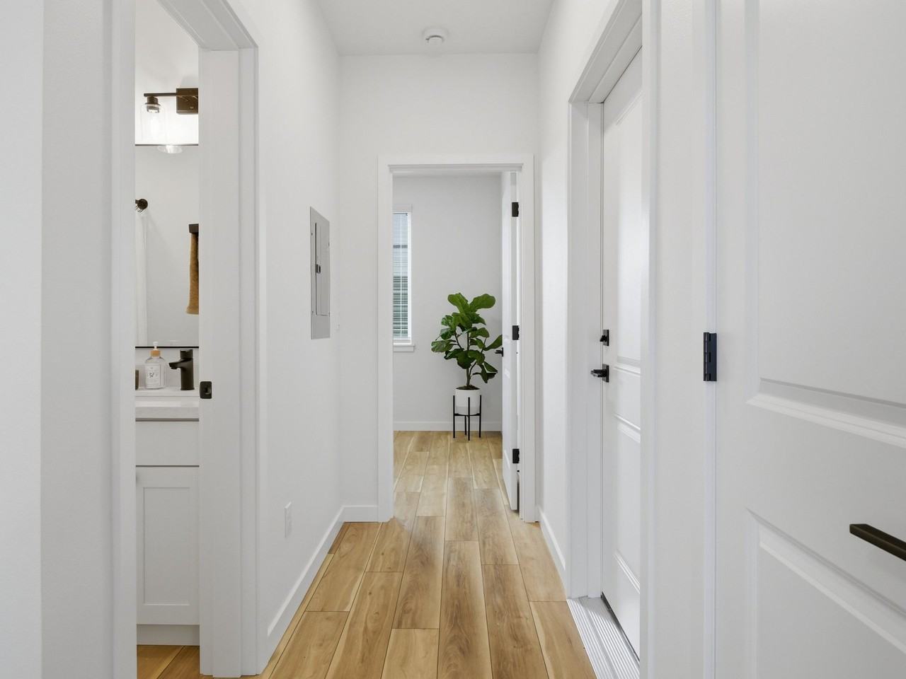 Seventeen - Photo 7 of 21