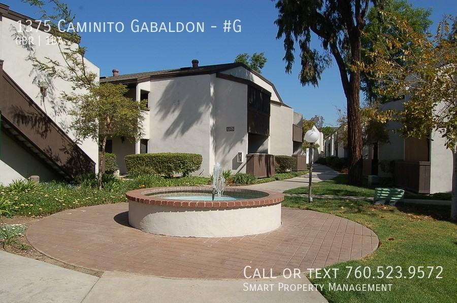 1375 Caminito Gabaldon #G - Photo 3 of 28