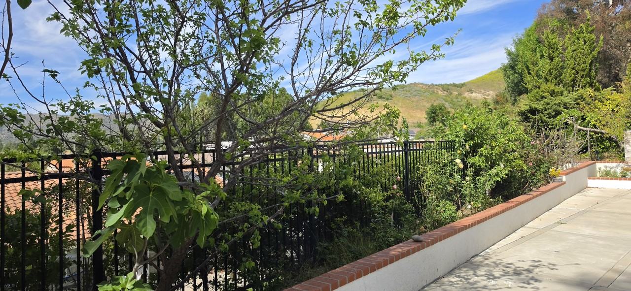 28915 Hollowbrook Ave #NA - Photo 6 of 50