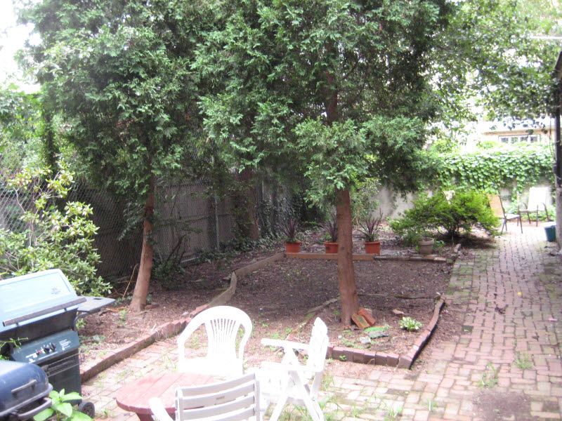 1915 Green St #1E - Photo 7 of 8