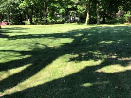 featured image of 340 W Adams St #340