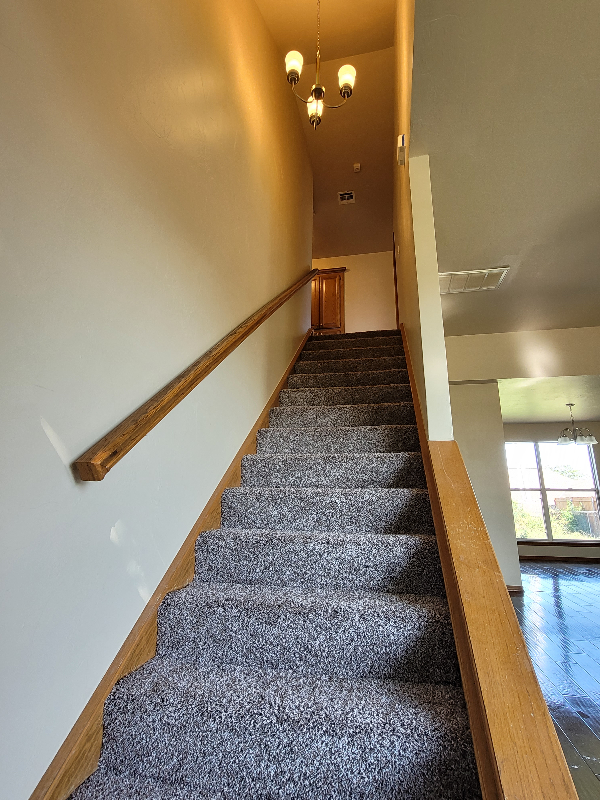 4908 Republic Dr - Photo 4 of 12