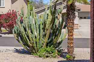 8373 W Mary Ann Dr - Photo 1 of 1