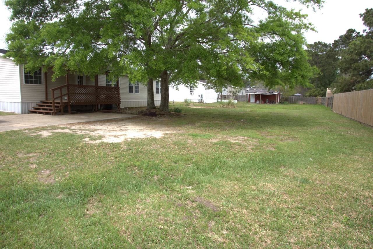 6575 Daylily - Photo 2 of 11