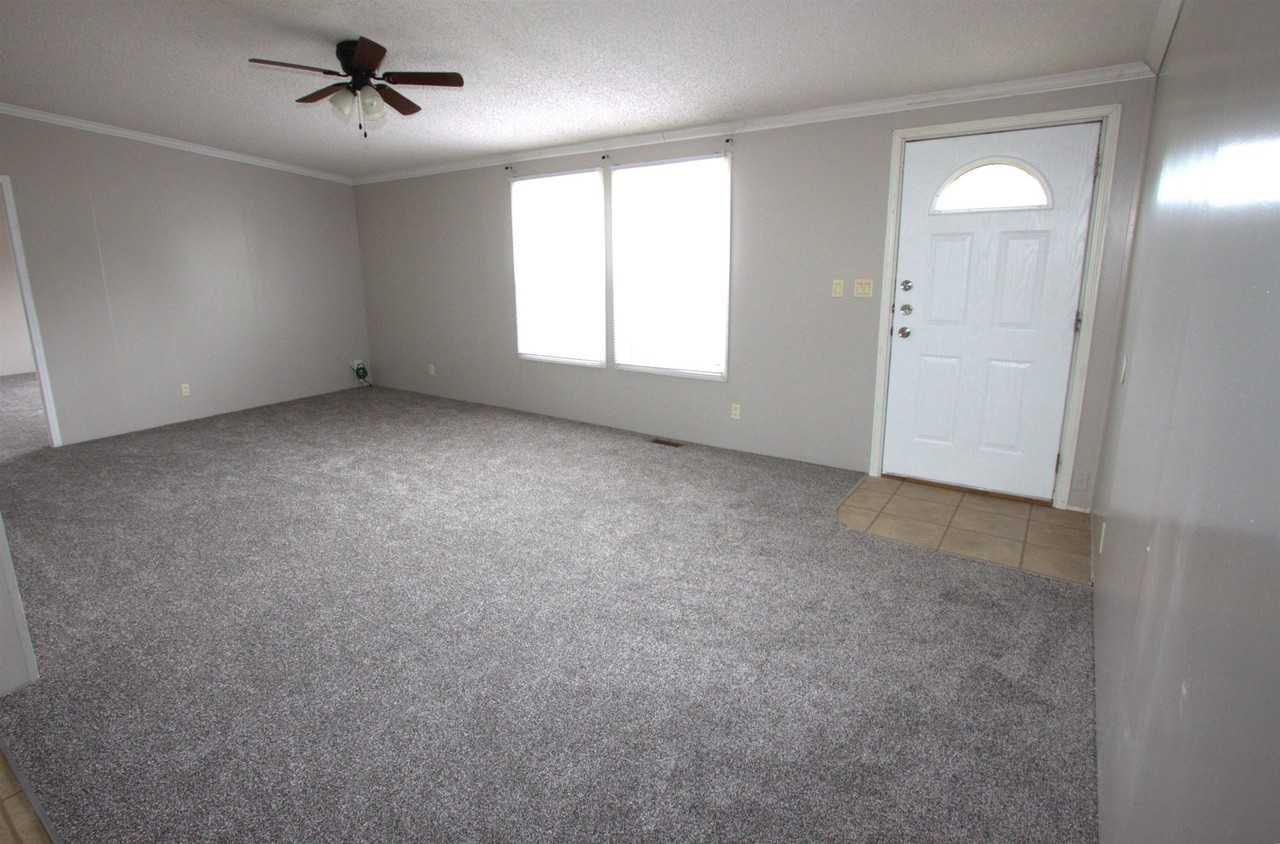 6575 Daylily - Photo 3 of 11