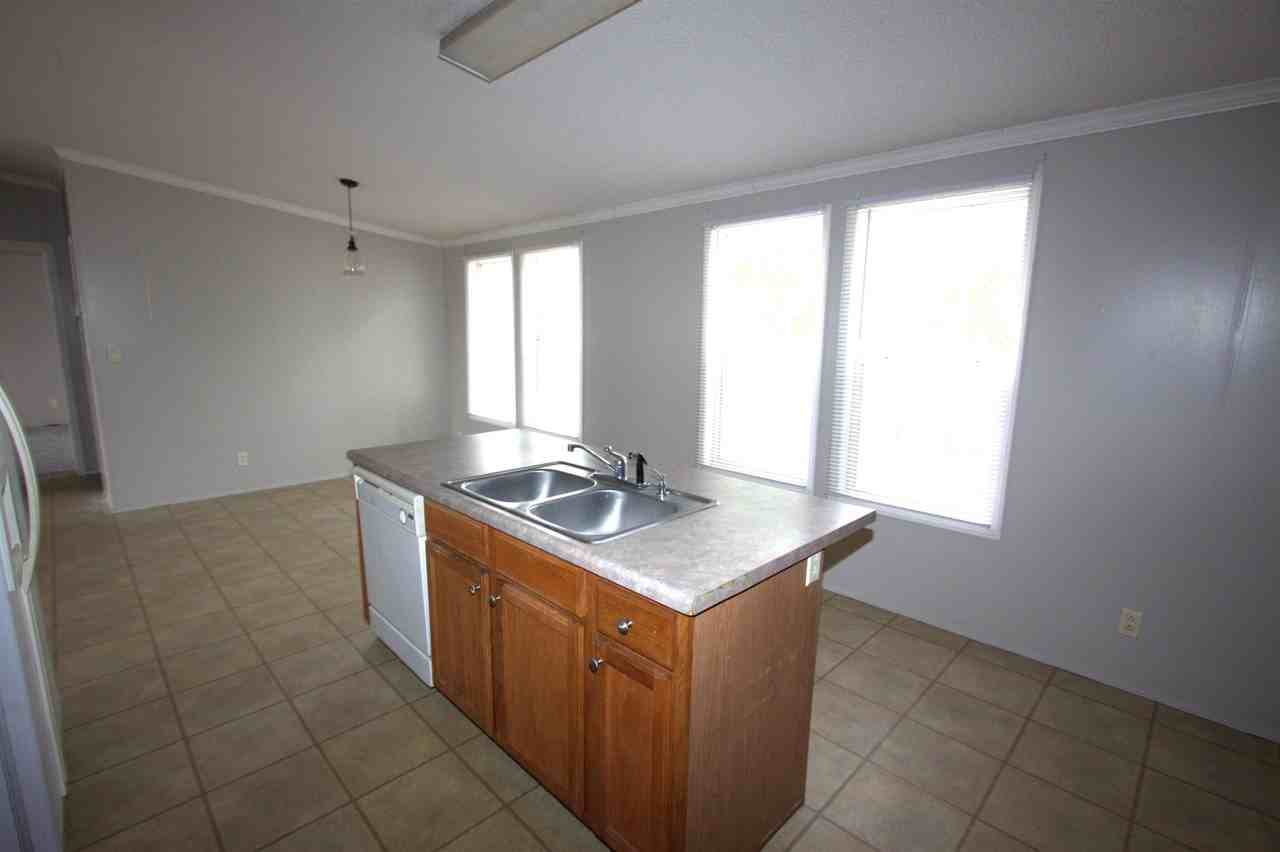 6575 Daylily - Photo 4 of 11