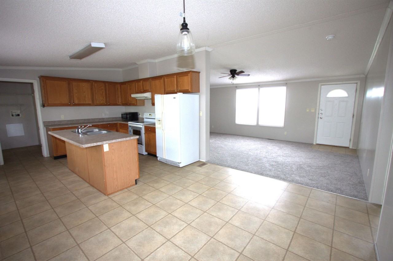 6575 Daylily - Photo 5 of 11