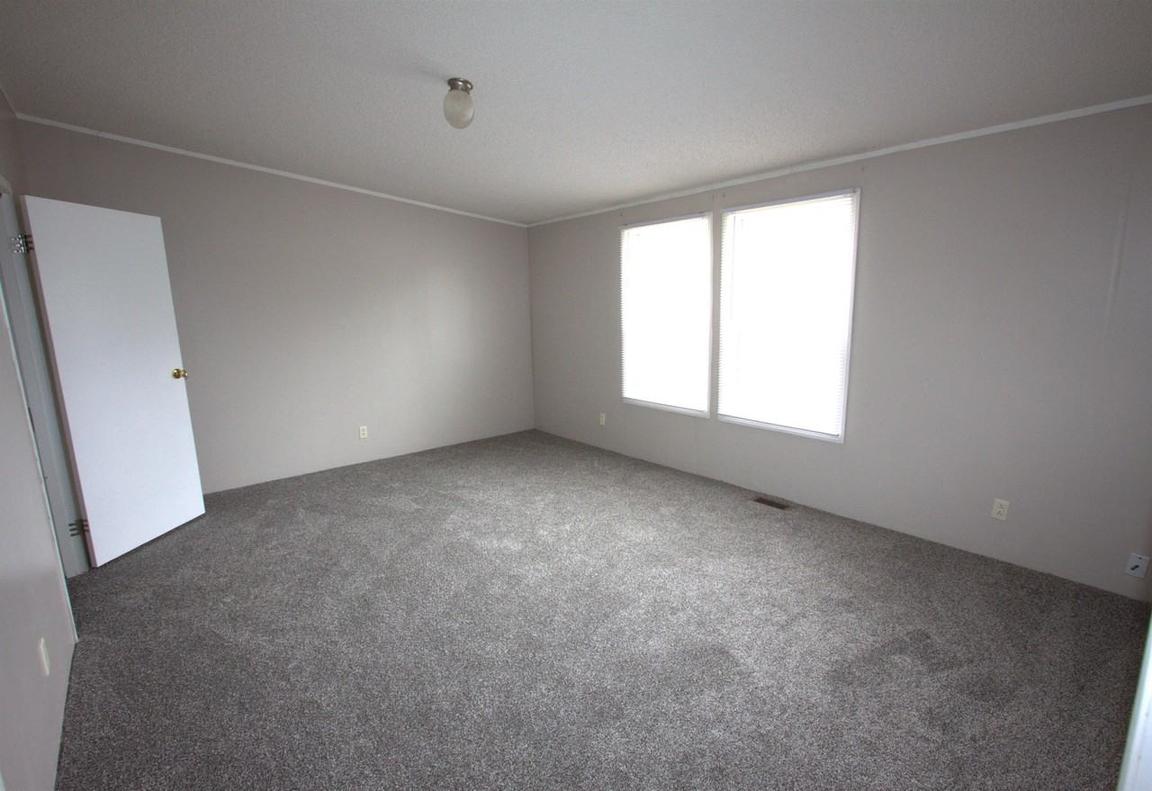 6575 Daylily - Photo 6 of 11