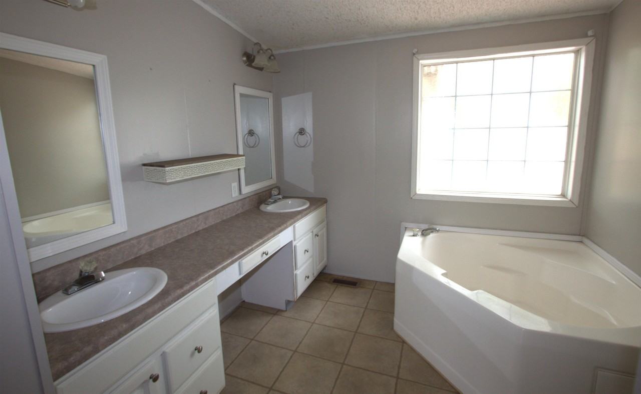 6575 Daylily - Photo 7 of 11