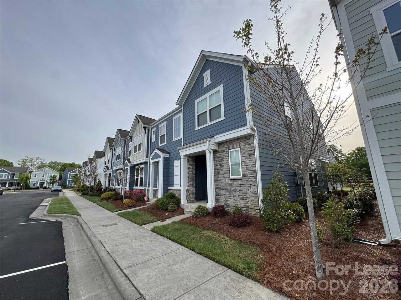 335 Ladybird Ln - Photo 4 of 38