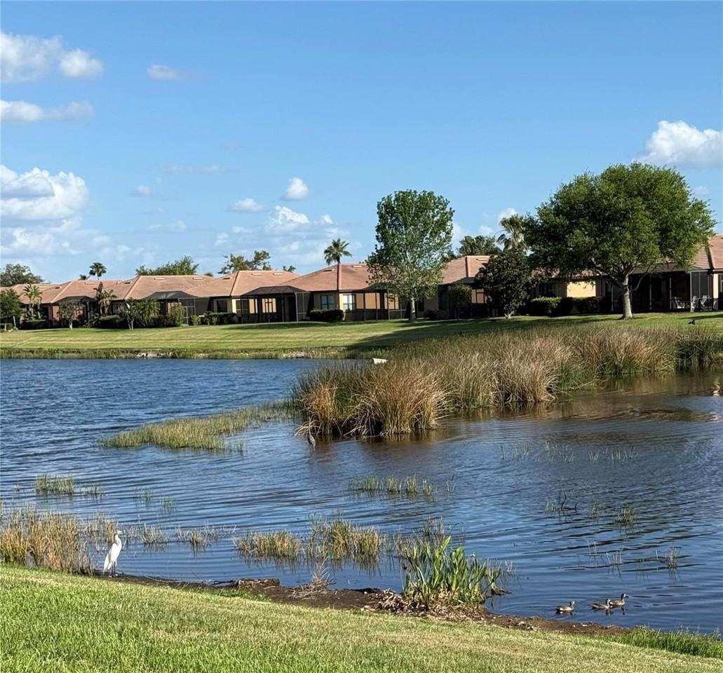 352 Laurel Falls Dr - Photo 5 of 50