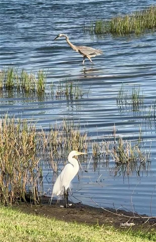 352 Laurel Falls Dr - Photo 7 of 50