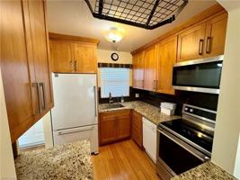 featured image of 225 Turtle Lake Ct Apt 306