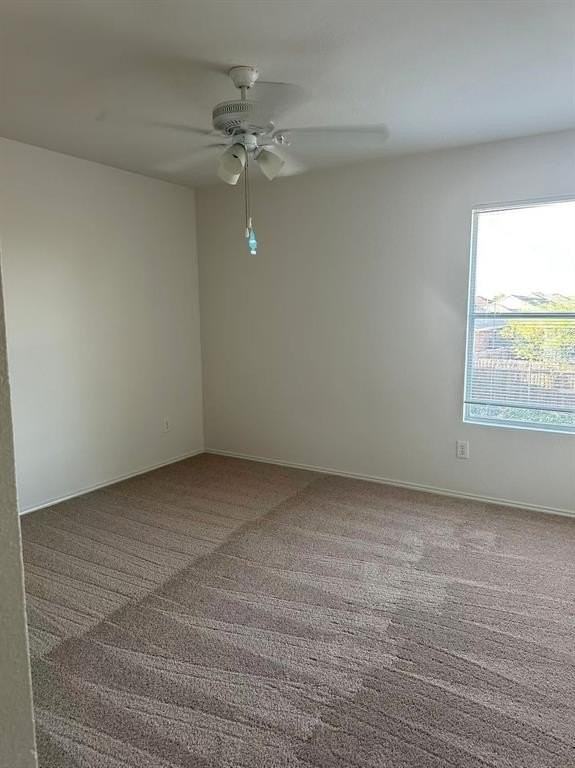 1114 Augustin Dr - Photo 2 of 11