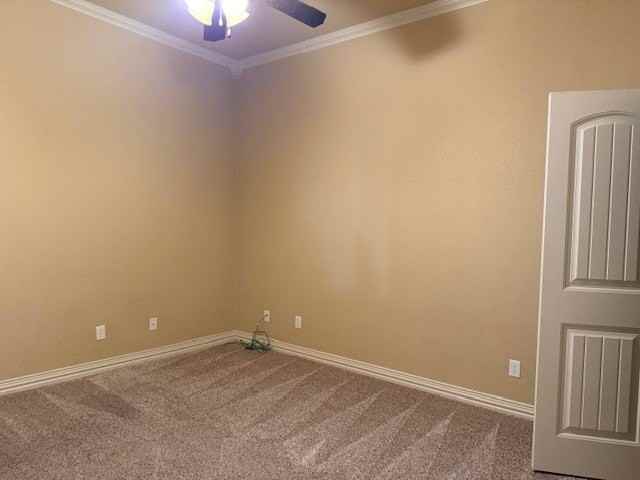 107 Mockingbird Ln #105 - Photo 6 of 10