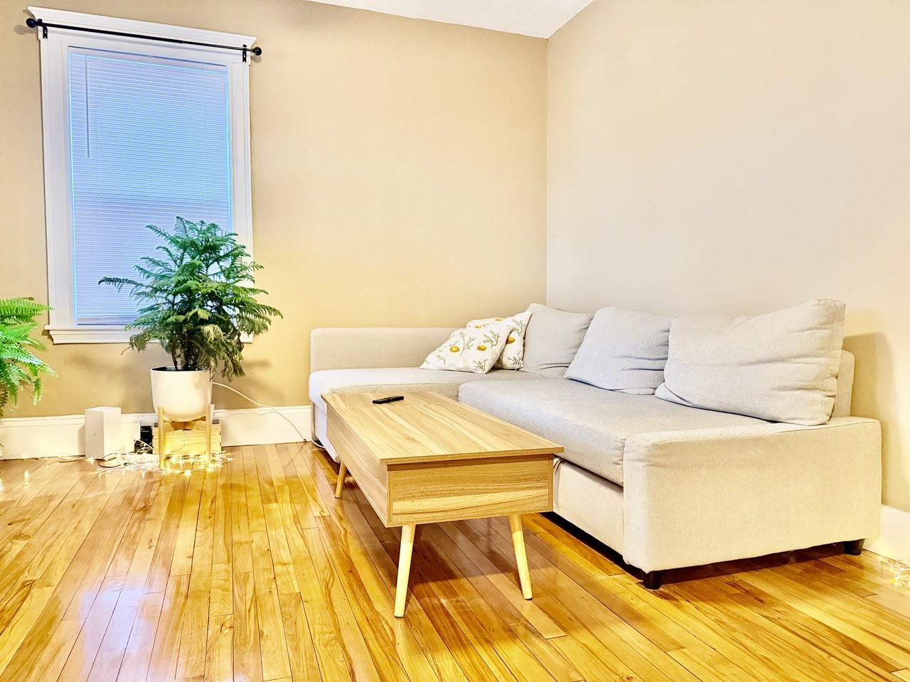 37 Hilton St #1 - Photo 3 of 18