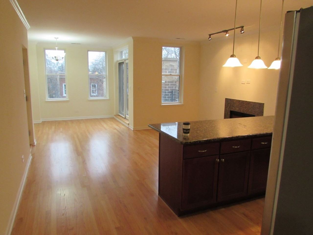 3919 N Kedzie Ave #2N - Photo 4 of 17