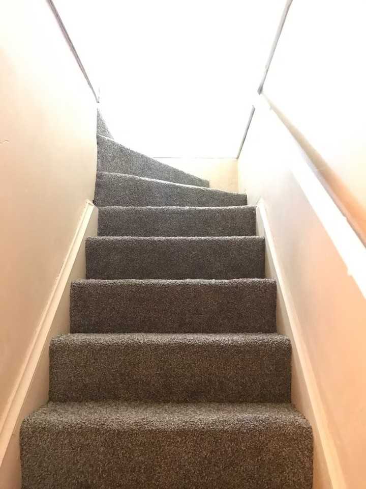 7265 Braile St - Photo 5 of 7