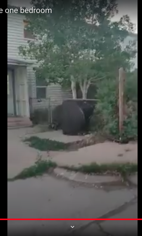 360 N Pine St #2 - Photo 2 of 18