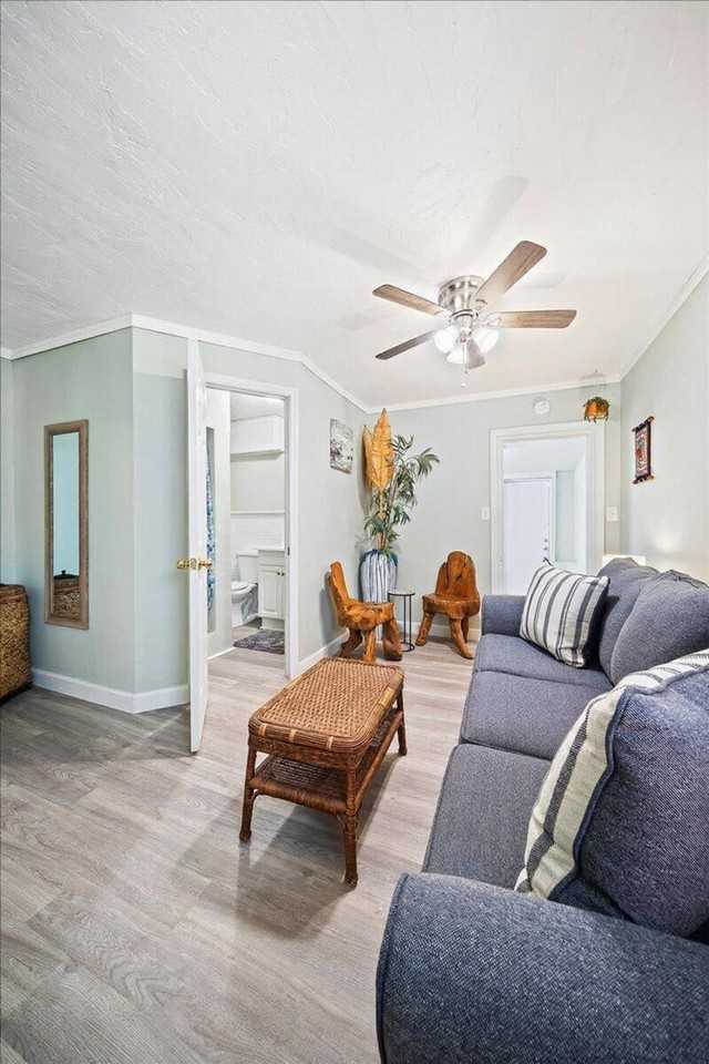 140 Mcleod St #1513829P - Photo 7 of 22