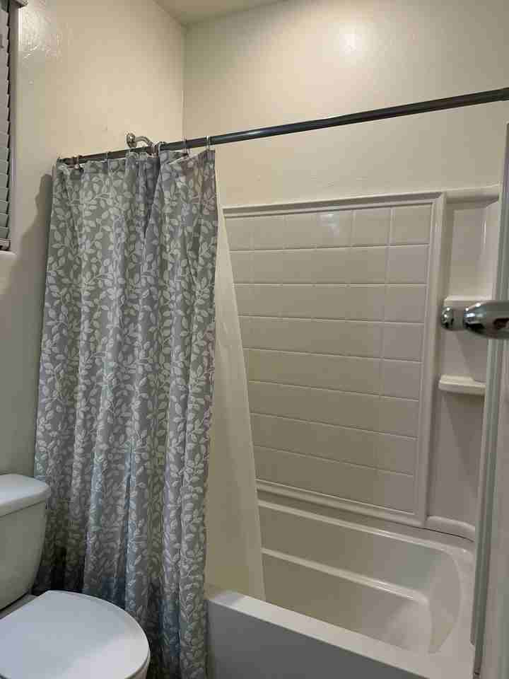 3851 E Balsam Dr - Photo 6 of 11