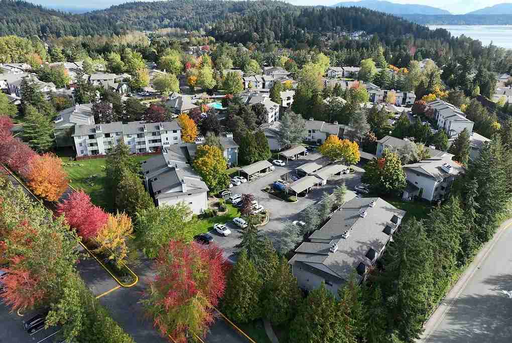 Redmond Hill - Photo 7 of 50