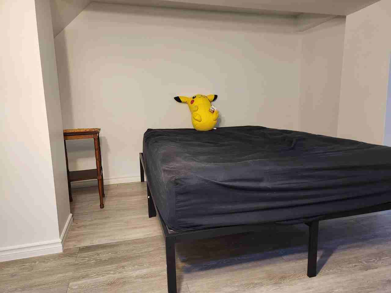 230 Rushton Road #BSMT - Photo 7 of 11