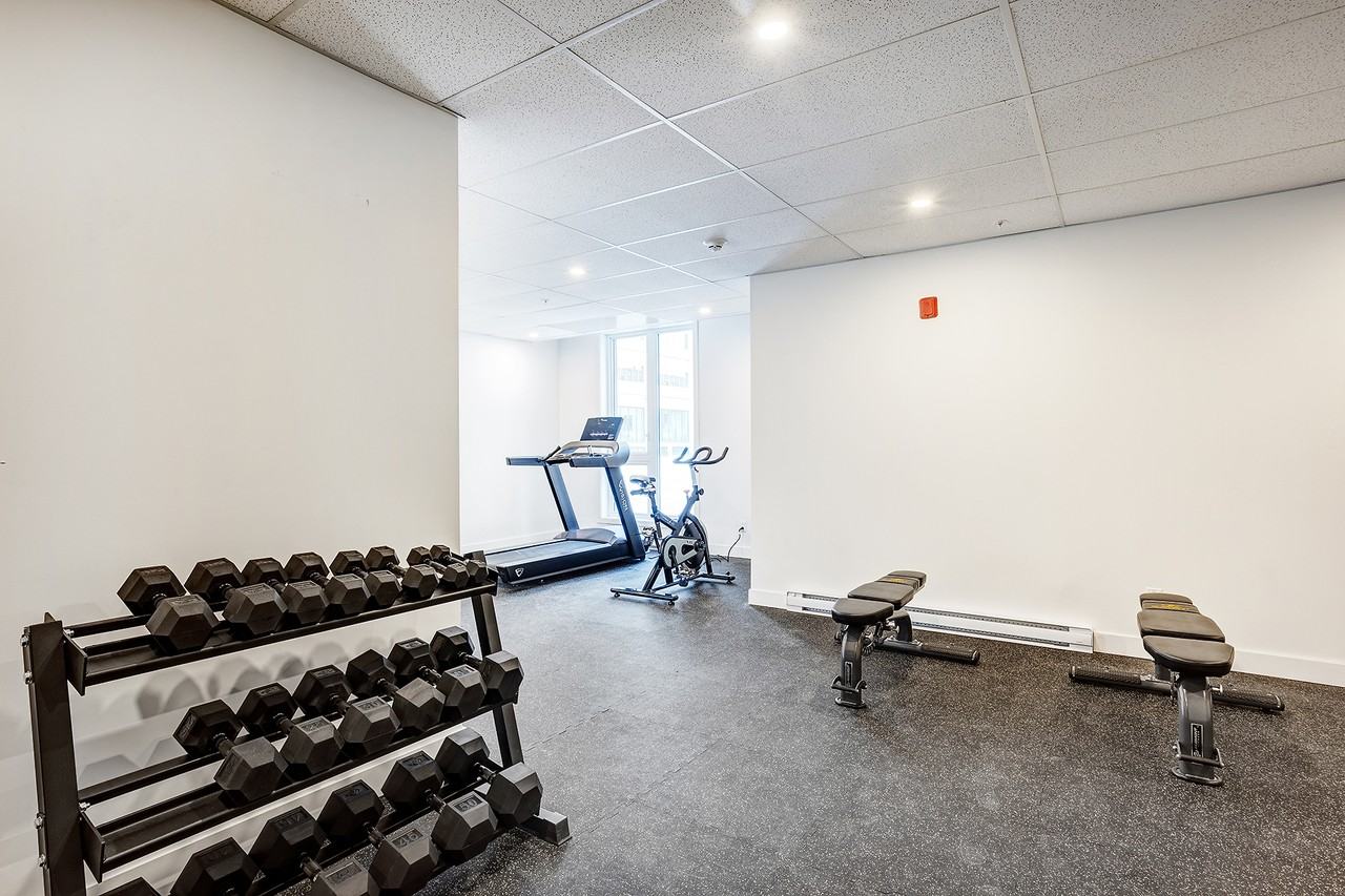 5480 Avenue Henri-Julien #204 - Photo 3 of 13