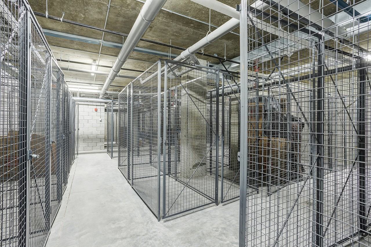 5480 Avenue Henri-Julien #204 - Photo 5 of 13