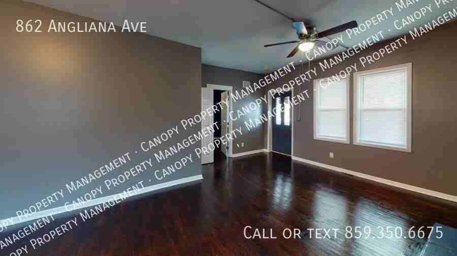 862 Angliana Ave - Photo 4 of 13