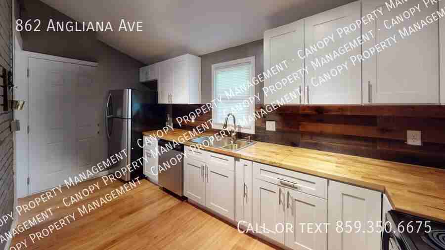 862 Angliana Ave - Photo 5 of 13