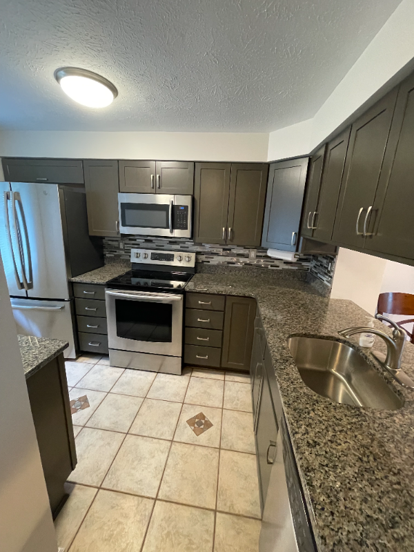 231 Shady Ridge Dr - Photo 4 of 25