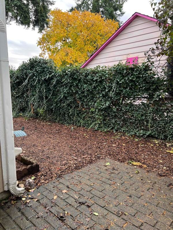 1008 X St #C - Photo 7 of 8