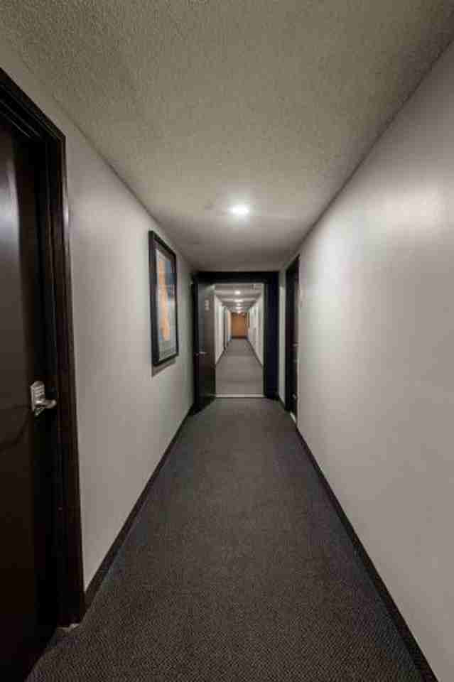 Pointe Apartments - Photo 6 of 33